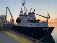 Trasportatore di merci sfuse in vendita