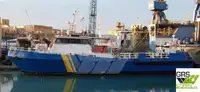 Barche da lavoro in vendita