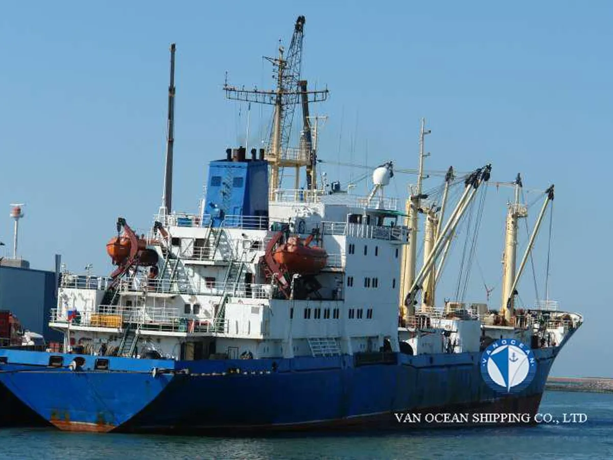 Nave refrigerata in vendita
