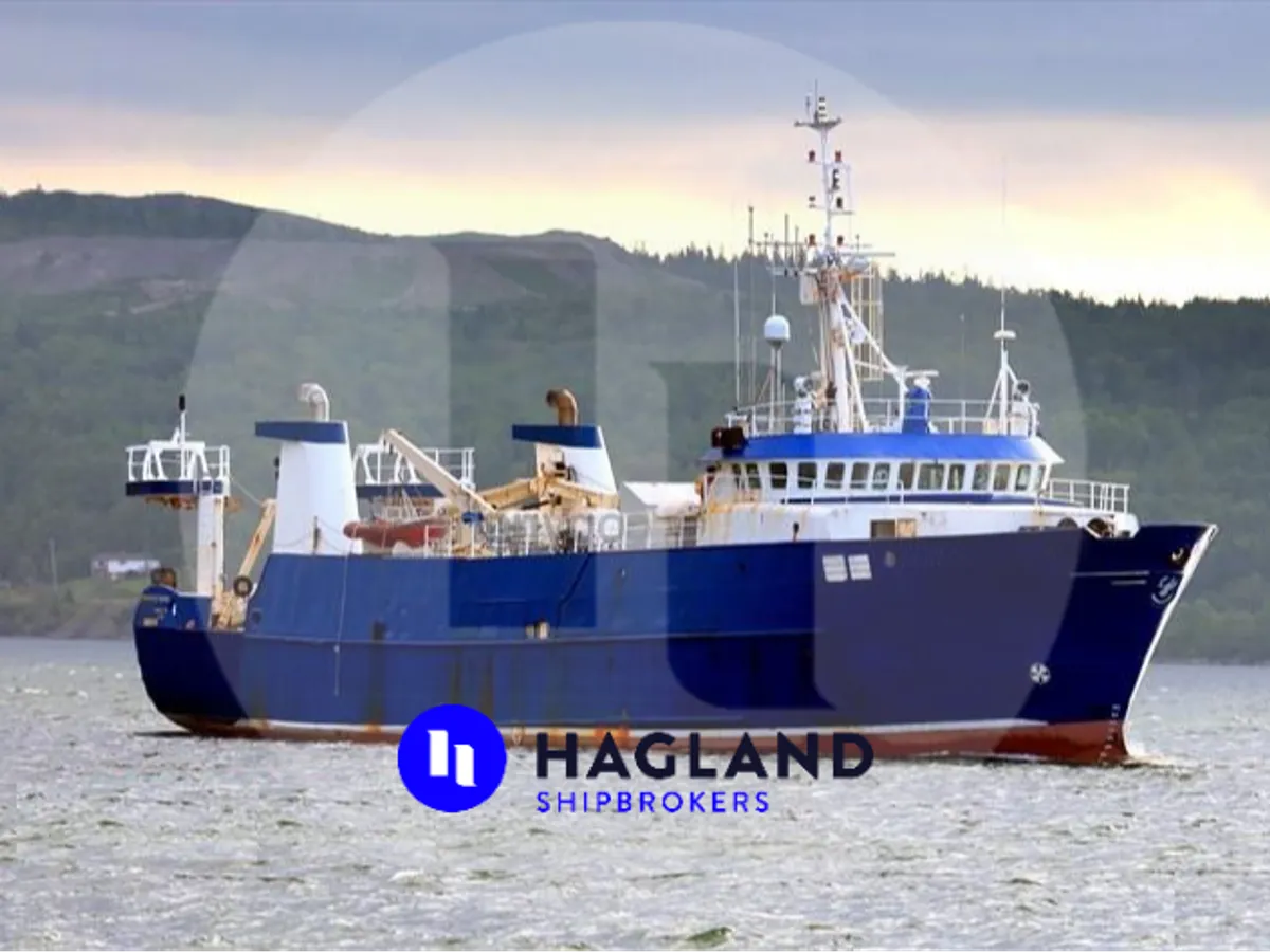 Nave da rilevamento in vendita