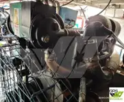 Nave di servizio per parchi eolici in vendita