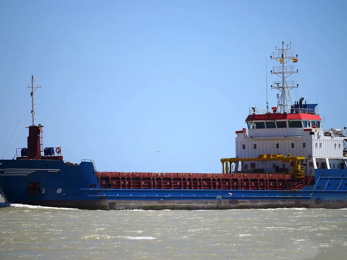 General Cargo/Multi-purpose in vendita