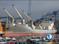 Nave refrigerata in vendita