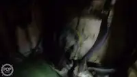Peschereccio a strascico in vendita