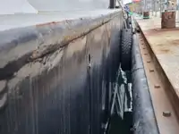 Nave da crociera in vendita