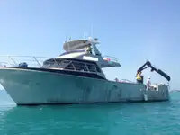 Barche da lavoro in vendita