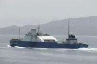 Trasportatore di merci sfuse in vendita
