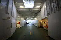 Trasportatore di merci sfuse in vendita