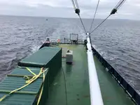 Nave refrigerata in vendita
