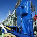 Purse seiner in vendita