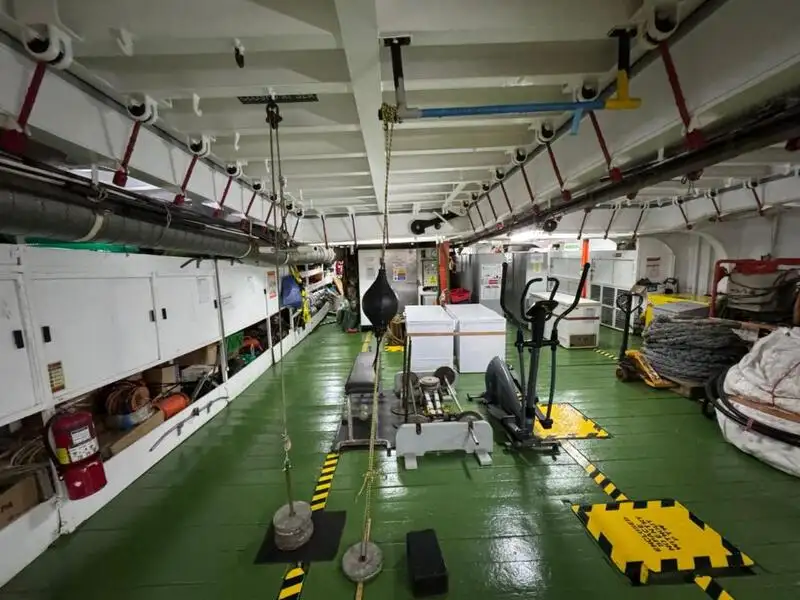 Portacontainer in vendita