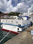 Trasportatore di merci sfuse in vendita