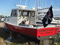 Nave per la lavorazione del pesce in vendita
