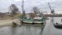 Draghe in vendita