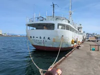 Peschereccio a palangaro in vendita
