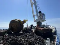 Multiuso in vendita