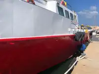 Portacontainer in vendita