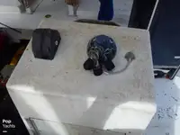 Peschereccio a strascico in vendita