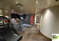 Nave da crociera in vendita