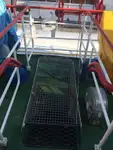 Portacontainer in vendita