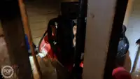 Peschereccio a strascico in vendita