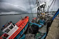 Peschereccio a circuizione in vendita