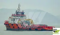 Nave di supporto in vendita