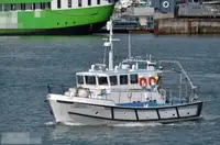 Portacontainer in vendita