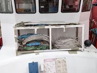Nave da rilevamento in vendita