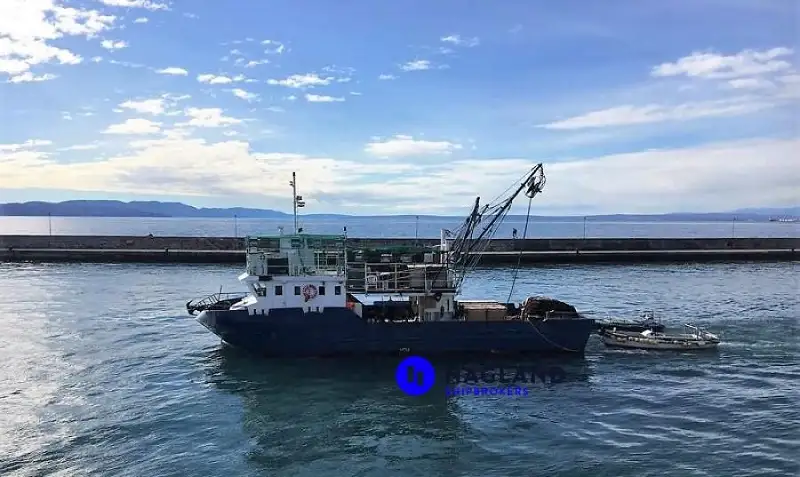 Peschereccio a strascico a trave in vendita