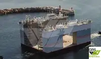 Chiatta in vendita