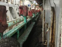 Peschereccio per calamari in vendita