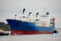 Nave refrigerata in vendita