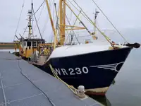 Trawler in vendita