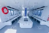 Catamarano in vendita