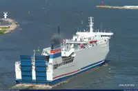 Trasportatore di merci sfuse in vendita