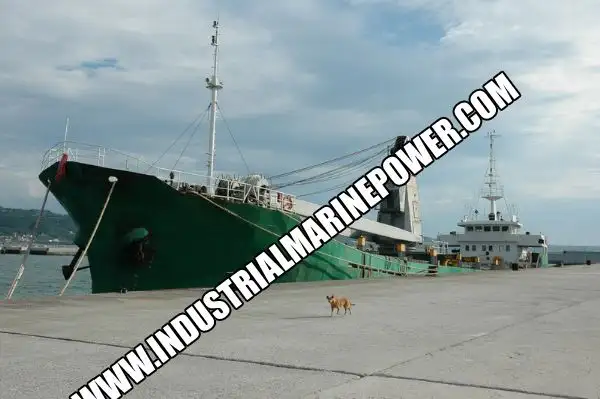 Portacontainer in vendita