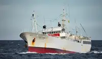 Trawler in vendita