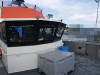 Catamarano in vendita