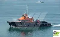 Nave di servizio per parchi eolici in vendita