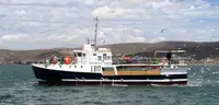 Purse seiner in vendita