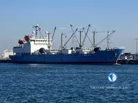 Nave refrigerata in vendita