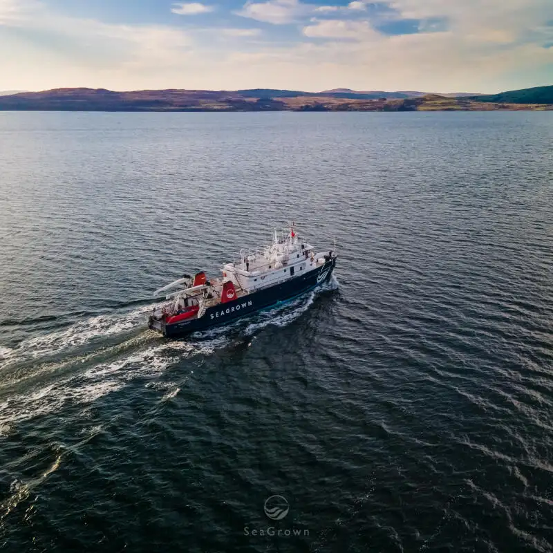 Nave da rilevamento in vendita