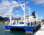 Catamarano in vendita