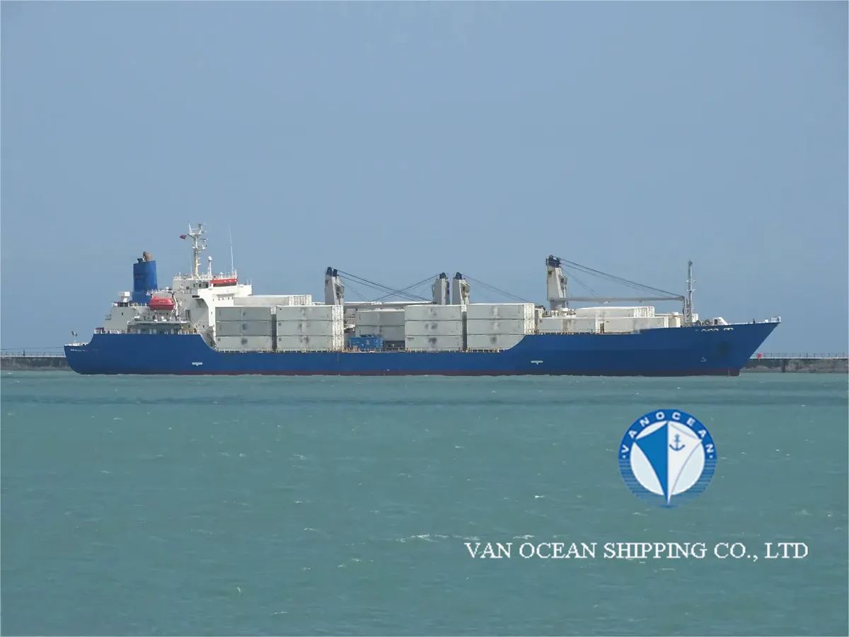 Nave refrigerata in vendita