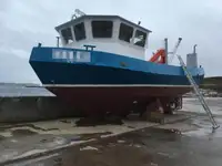 Barche da lavoro in vendita