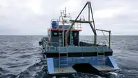 Portacontainer in vendita