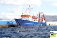Nave da rilevamento in vendita