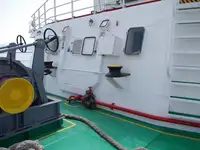 Trasportatore di merci sfuse in vendita