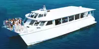 Catamarano in vendita